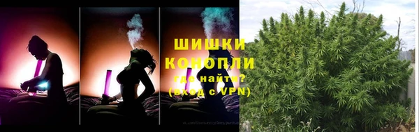 спиды Осинники