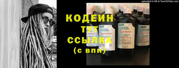 шишки Осташков