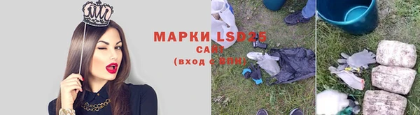 шишки Осташков