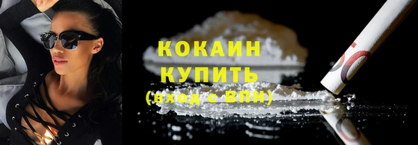 шишки Осташков