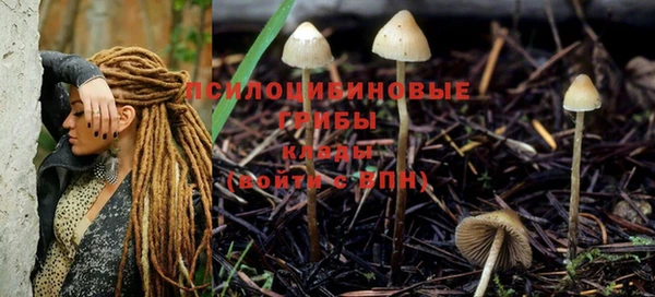 шишки Осташков