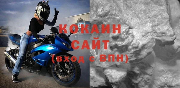 шишки Осташков
