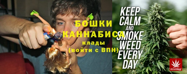 шишки Осташков