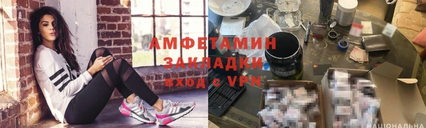 шишки Осташков