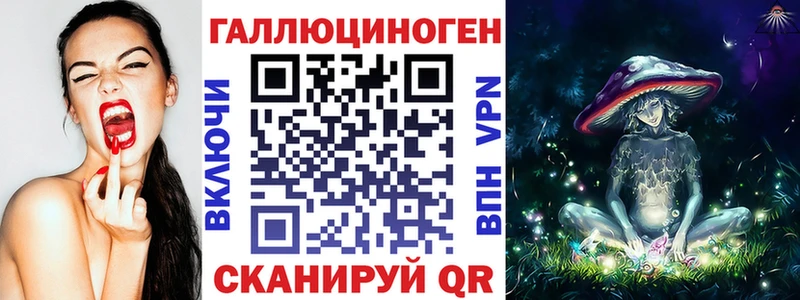 закладка  Светогорск  Псилоцибиновые грибы мухоморы 